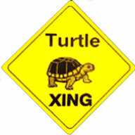 turtle2472