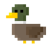 Duck1021