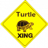turtle2472